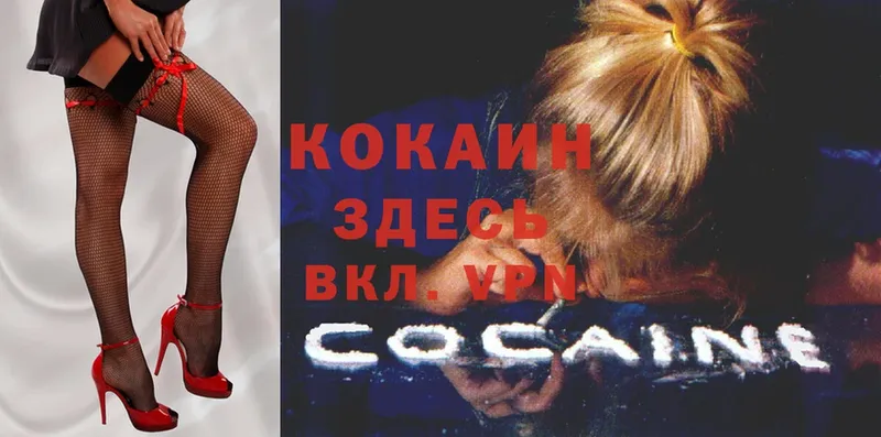 где купить наркоту  Красноярск  COCAIN FishScale 